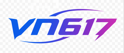 VN617 Logo
